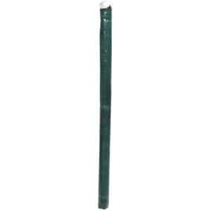 HDPE-Sichtschutzmatte Grün 150 cm x 500 cm