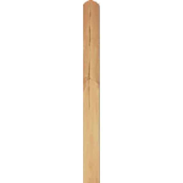T & J Lamelle aus Daan-Serie 20 mm x 145 mm