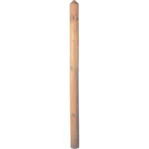 T & J Zaunlatten Braun 55 x 120 cm