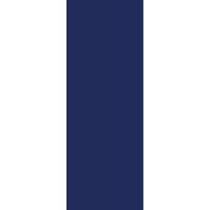 ZacAlu Aluverbund Zierblech Blau 67 x 178