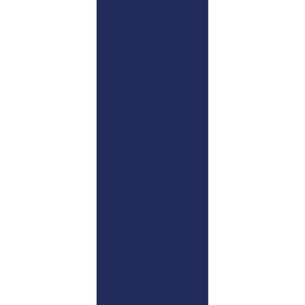 ZacAlu Aluverbund Zierblech Blau 67 x 178